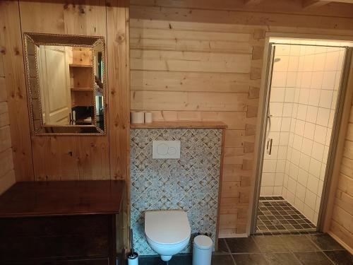 a bathroom with a toilet and a mirror at Schlosswirt Chalets & Apartments in Großkirchheim