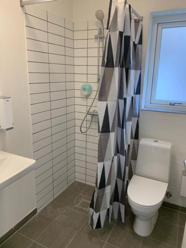 a bathroom with a toilet and a shower at Den Gode Søvn in Øster Hurup