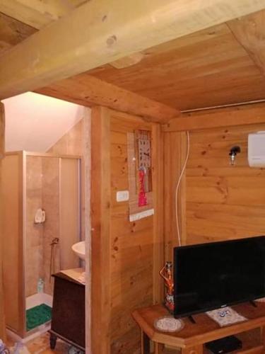 a living room with a television in a wooden cabin at Apartmani Dada Kanjon Grmuša in Bihać