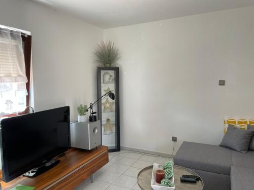 uma sala de estar com uma televisão de ecrã plano e um sofá em Vida Real Estate Feucht em Feucht