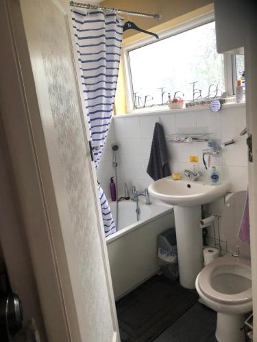 a bathroom with a sink and a toilet and a window at Wellness Haven Micro Pop-up Hostel Catford in Forest Hill