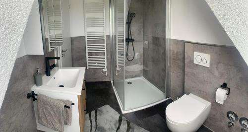 a bathroom with a shower and a toilet and a sink at Ferienwohnung Wilflingen in Langenenslingen