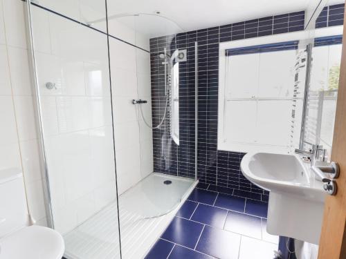 a bathroom with a shower and a sink and a toilet at Harbourside in Porthmadog