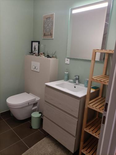 une salle de bain avec toilettes, lavabo et miroir dans l'établissement Proche GR34 , Studio 