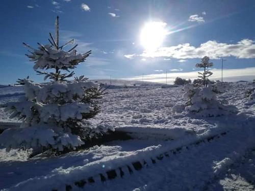 Zlatibor Hills 03 – Photos 5
