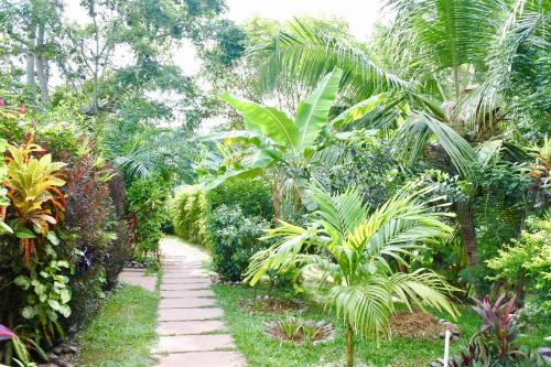 a path through a tropical garden with palm trees at Cocotier du Rocher in La Digue