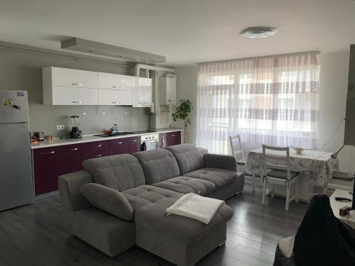 a living room with a couch and a kitchen at Stefanos Apartament in Baia Mare