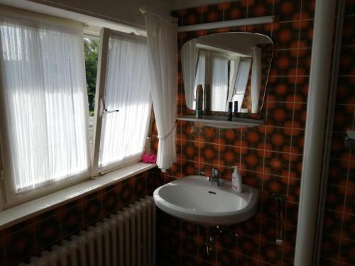 een badkamer met een wastafel, 2 ramen en een spiegel bij Karolinenhof in Schüttorf