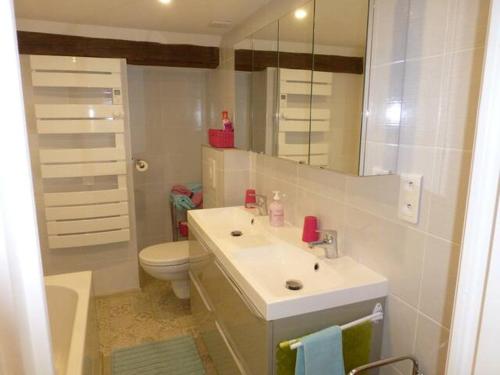 a bathroom with a sink and a toilet and a mirror at Gîte, Maison indépendante "Chez Yvette et André" 2 à 6 pers, Ribeauvillé à 3 km, Colmar à 10 km in Guémar