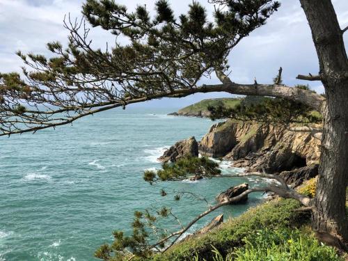 uma vista para o oceano a partir de uma árvore em le penty plougonvelin em Plougonvelin