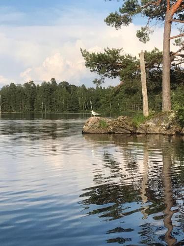 Naturlandschaft in der Nähe der Lodge