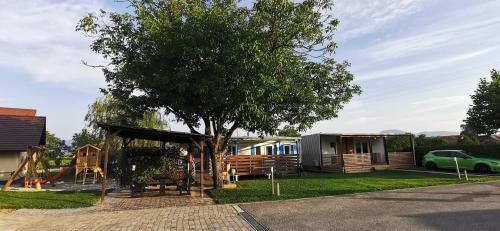 una pequeña casa con un árbol y un parque infantil en Guesthouse Braslovče - Celje, en Braslovče