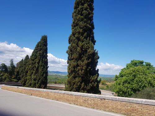 a row of trees in front of a brick wall at Dimora in San Quirico d'Orcia in San Quirico dʼOrcia