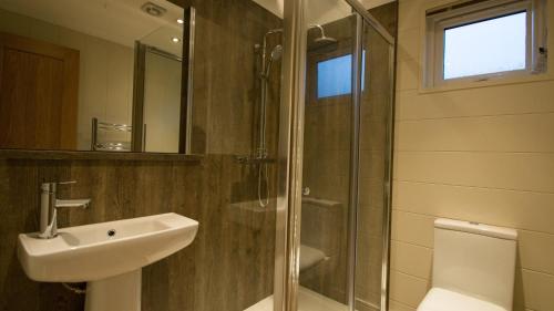 a bathroom with a sink and a glass shower at Llyn Brenig Lodge in Betws-y-coed