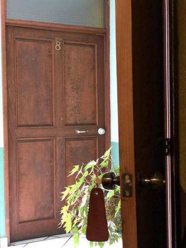 a door with a potted plant in front of it at San Pablo in Pátzcuaro