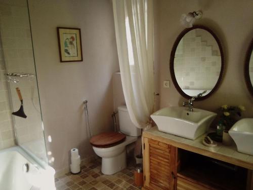 een badkamer met een wastafel, een toilet en een spiegel bij Le Domaine de Belle in LʼIsle-sur-la-Sorgue