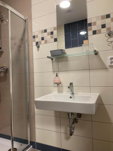 a bathroom with a sink and a shower at Kamrovec in Tachov