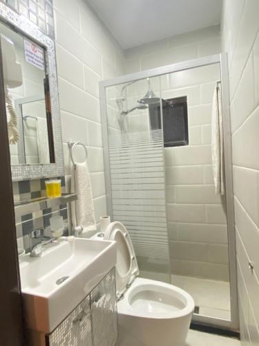 a bathroom with a toilet and a sink and a shower at Abraham Hostel in Wadi Musa