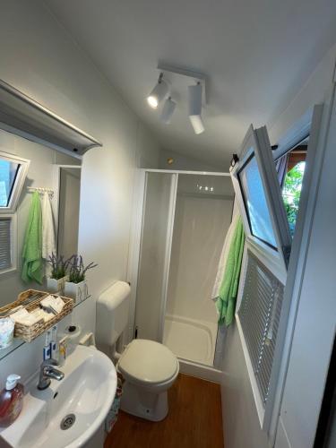 圖納的住宿－Mobile Home Daniel，带淋浴、卫生间和盥洗盆的浴室