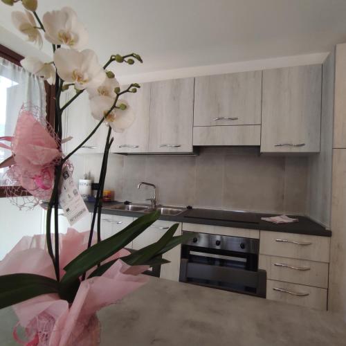 a kitchen with a vase of flowers on a counter at Orobie Holiday Apartments in Albosaggia
