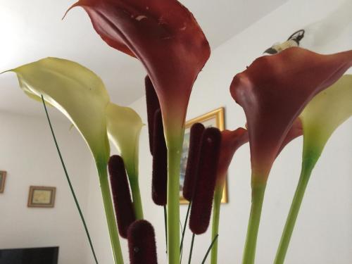 a close up of two flowers in a vase at B&B Il Vicoletto Del Casale in Centola