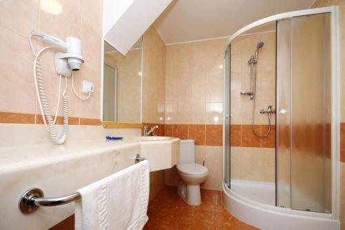 een badkamer met een douche, een toilet en een wastafel bij Hotel Restaurant Na Statku in Náměšť nad Oslavou