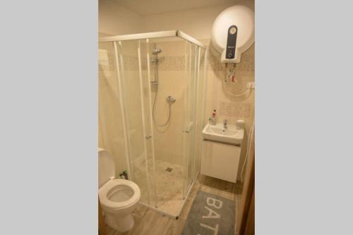un bagno con doccia e WC di Útulný domek v zahradě v Unhošti nedaleko letiště a Unhošť