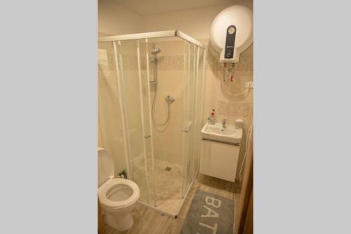 a bathroom with a shower and a toilet at Útulný domek v zahradě v Unhošti nedaleko letiště in Unhošť