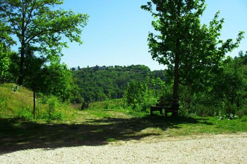 a park bench sitting in the shade of a tree at Alle Vallesse in Altavilla Vicentina