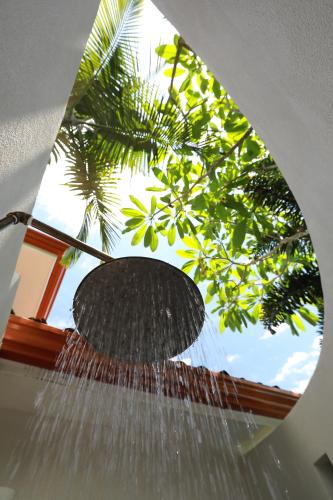 Zahrada ubytování Casa Frangipani