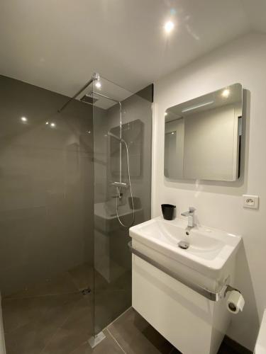 a white bathroom with a sink and a shower at 2 Pièces La Tour in Saint-Étienne-de-Tinée