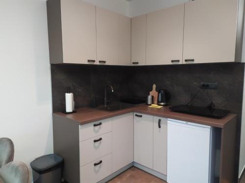 a kitchen with white cabinets and a sink at Diamond Sunrise in Divčibare