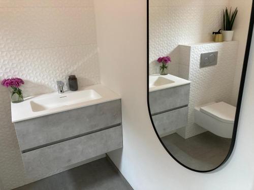 ein Badezimmer mit einem Spiegel, einem Waschbecken und einem WC in der Unterkunft B&B La Miniera in Genk