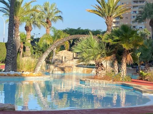 basen z palmami w ośrodku w obiekcie Alicante Apartamento en la Playa Muchavista-San Juan - Marluma frente al Mar w mieście La Venteta
