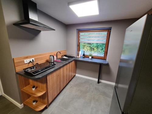 eine kleine Küche mit einem Waschbecken und einem Fenster in der Unterkunft Apartamenty River in Wisła