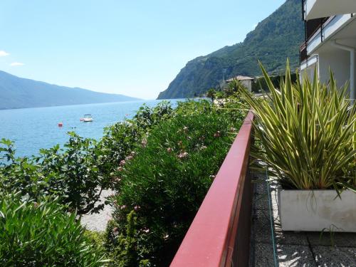 a balcony with plants and a view of the water at Hotel Lido in Limone sul Garda