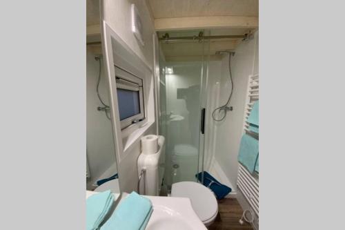 a bathroom with a shower and a toilet and a television at Tiny House 1e in Varel