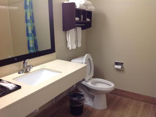 a bathroom with a sink and a toilet and a mirror at Executive Inn and Suites Jefferson in Jefferson