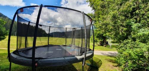 an empty trampoline in a field with a sky at Ferienwohnungen am Bio-Bauernhof Herdengl in Lunz am See