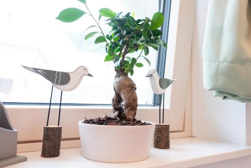 a plant in a white pot on a window sill at Apple tree apartment in Bled