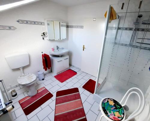 a bathroom with a shower and a toilet and a sink at Haus Heidrun in Dolgesheim