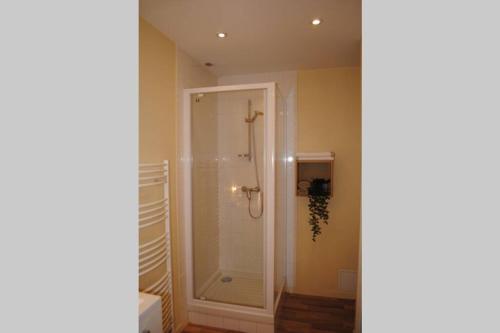 a bathroom with a shower with a glass door at Appartement dans bâtiment du 18ème siècle in Argentan