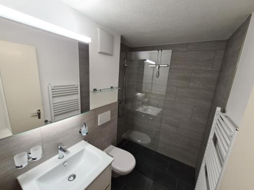 フリムスにあるAlpen-Fewo, Residenza Quadra 25のバスルーム(洗面台、トイレ、シャワー付)
