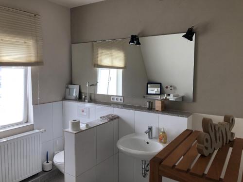 a bathroom with a sink and a toilet and a mirror at Haus Fink in Volkach