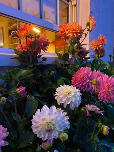 a bunch of flowers in front of a building at Stylish & Cosy Boutique Townhouse 1 bedroom, 1 sofa bed - sleeps 4 in Christchurch