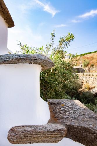 Un paisaje natural cerca de la casa vacacional