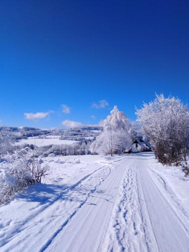 Apartmány v Pošumaví im Winter