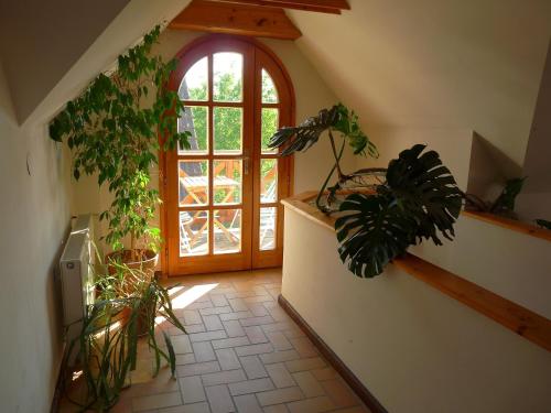 a hallway with plants and a door with a window at Aranyház Apartmanszállás in Tihany