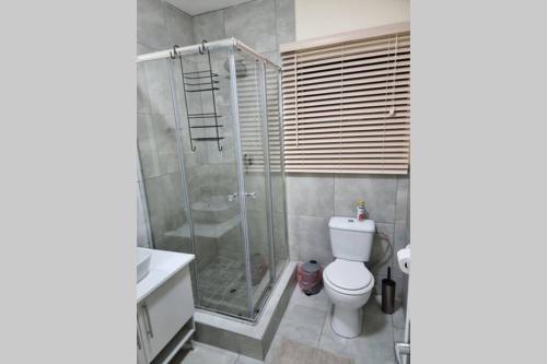 a bathroom with a shower and a toilet and a sink at Koena Court Apartment 3 - With Uncapped Fiber Wi-Fi in Midrand