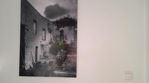 アダマスにあるHotel Ippocampos Studiosのギャラリーの写真